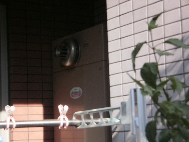 P7070091.jpg