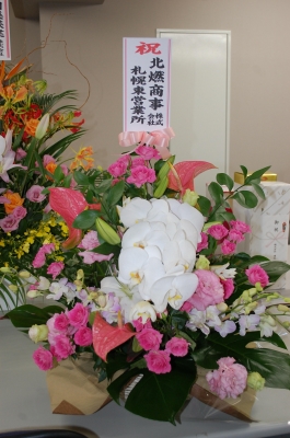 DSC_1862.jpg