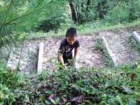 小さな力持ち…よく頑張りました。