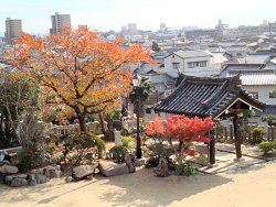 何となく温かく、何となく寂しい、紅葉の季節ですね。