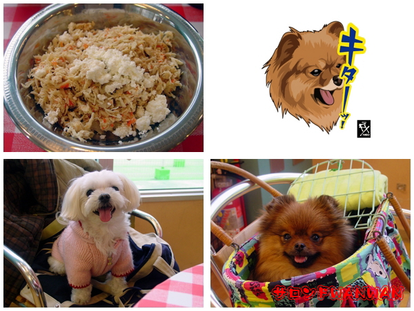 千葉県