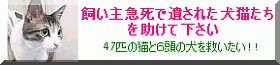 elirin_sos.