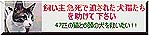 bana_kainusi_sho