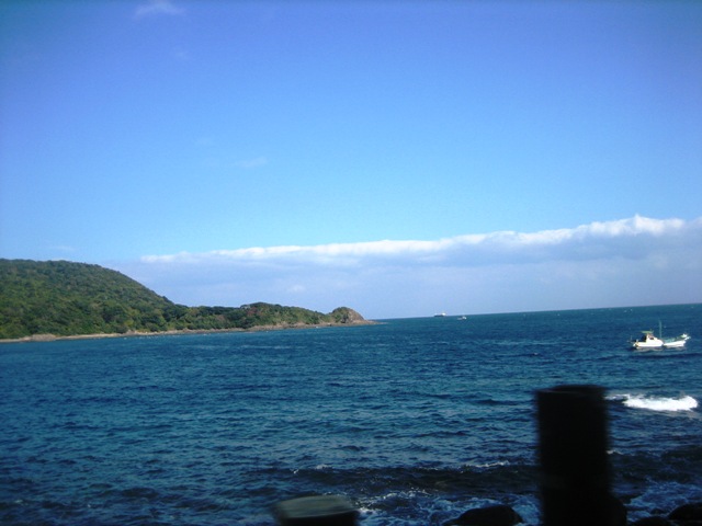 IMG_5784.JPG