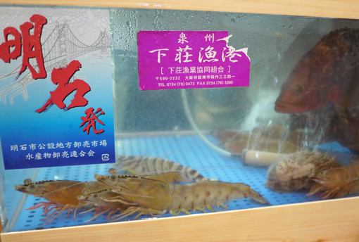 新世界玉家 軍鶏 しゃも 天然活魚料理