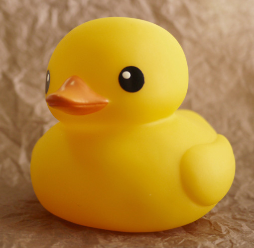 tolo bath duck