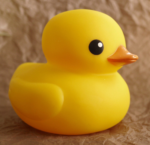 tolo rubber duck
