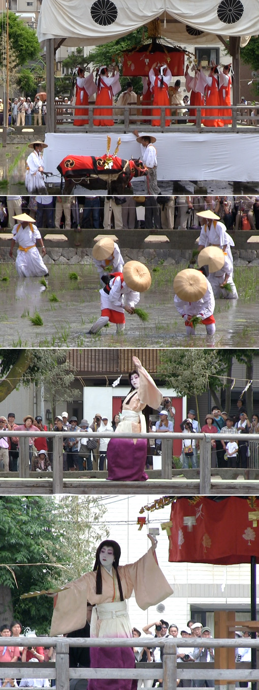 住吉大社 御田植神事 御稔女による神田代舞 八乙女の田舞 御田代舞