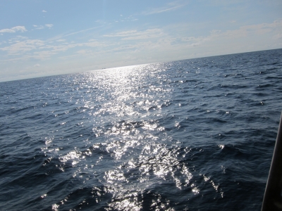 IMG_0003.JPG