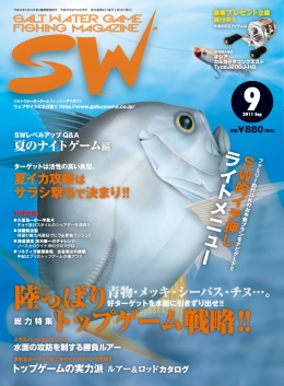 SW9.jpg