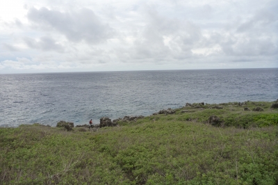P1010343.JPG