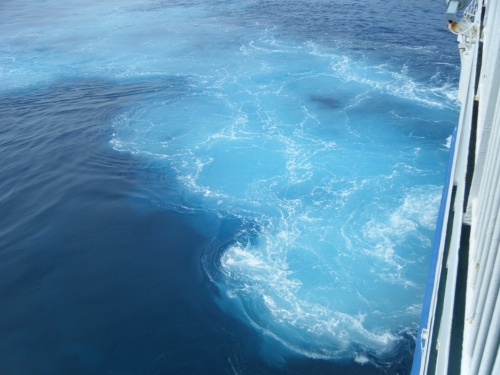 DSCF2268.JPG