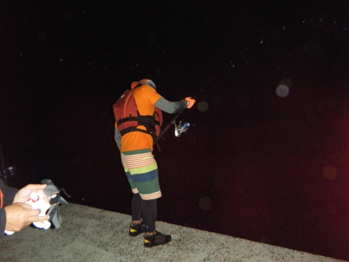 DSCF2287.JPG