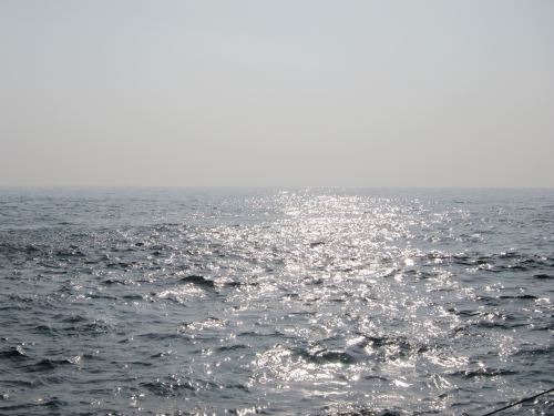IMG_0056.JPG