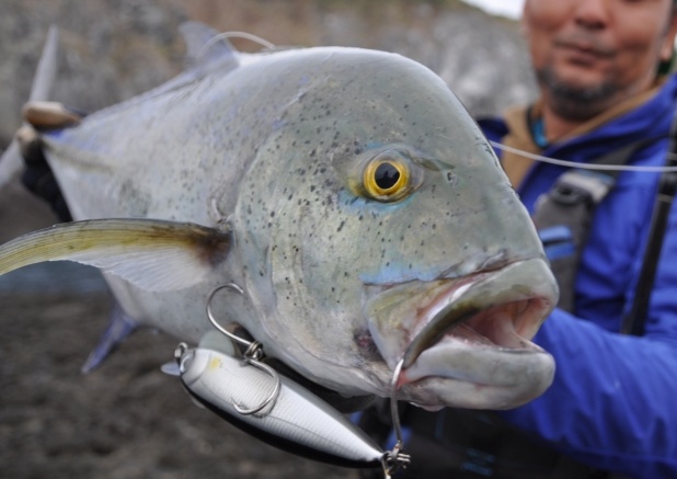 草垣でアスカモジョー | UZU fishing trip 草垣でアスカモジョー | UZU fishing trip