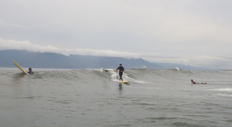 SUPウェーブボードって・・・みんなどんなの使ってるの？ | UZU