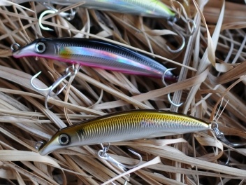 uzu タフマニアンデブル、ビバノン、チンパン タフマニアンデブル特別色 | UZU fishing trip