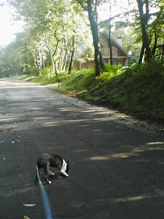 sanpo