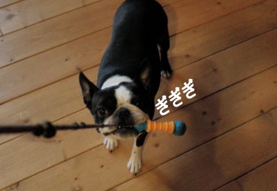 gigigi