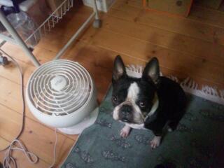 20120713_071637.jpg