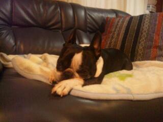 20120718_183525.jpg