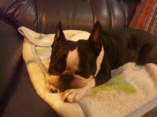 20120718_183559.jpg