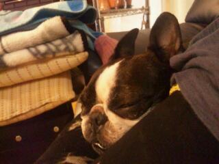 20120722_180312.jpg