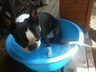 20120820_103901.jpg