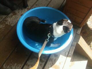 20120820_103919.jpg