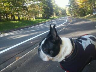 20121031_182857.jpg