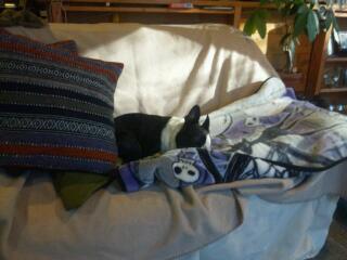 20121031_182932.jpg
