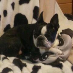 20130305_141045.jpg