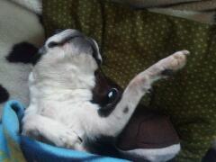 20130305_140837.jpg