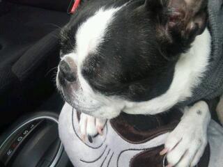 20130305_141149.jpg