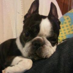 20130305_140715.jpg