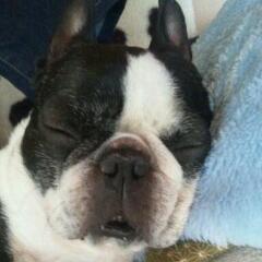 20130305_140809.jpg
