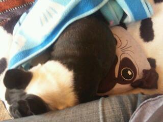 20130119_113003.jpg