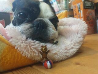 20130412_182205.jpg