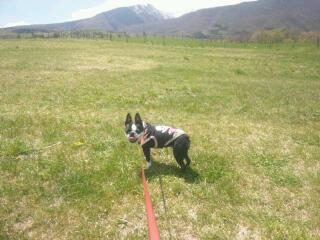 20130512_142038.jpg