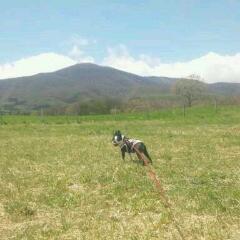 20130512_142127.jpg