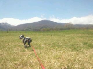 20130512_142157.jpg