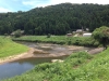 町野川