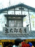 20060101_97536.jpg