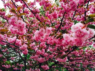 d194c6ecccf69752-full.jpg