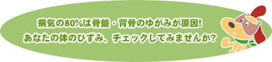 病気の80%が骨盤・背骨のゆがみが原因です