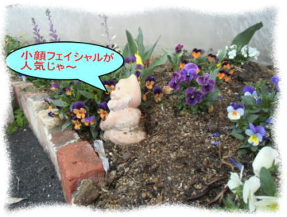 小顔が人気なんじゃ