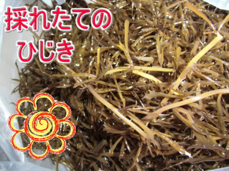 採れたての