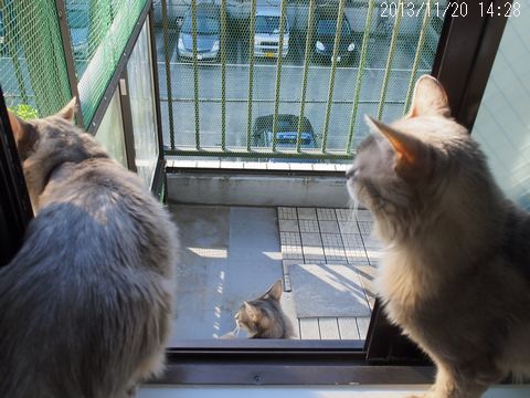 ツル子とパパと叔母ちゃん。