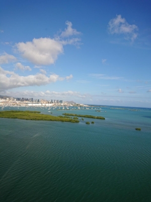 DSC_7261.JPG