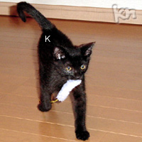 k